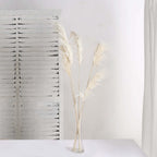 6 Stems Natural Dried Pampas Grass Decor Off White Tint - Versatile Plant Sprays for Boho Chic Vase Displays Backdrops & Event Styling 32"