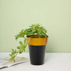2-Pack Flower Plant Pots Medium Design Black with Gold Rim - Plastic Indoor Decorative Planters 6"