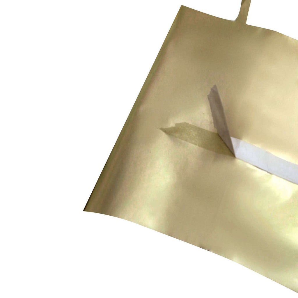 Champagne Round Chain Foil Fringe Curtain Party Backdrop, Metallic Champagne Tinsel Streamer Party Decor - Door Window Foil Curtain - 3ftx6.5ft - Bell Racket Store