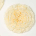 Set of 6 Ivory Cream Giant Carnation 3D Paper Flowers Wall Decor - 12",16",20"
