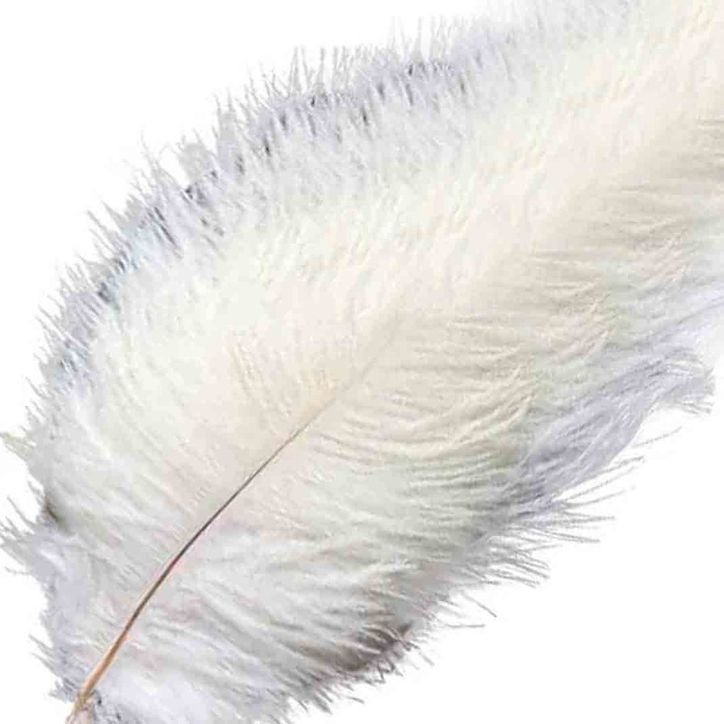 12 Pack 13"-15" White Natural Plume Real Ostrich Feathers, DIY Centerpiece Fillers