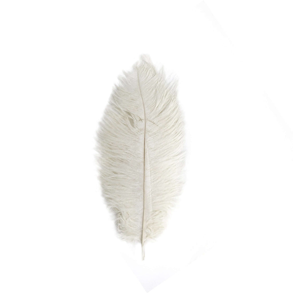 12 Pack 13"-15" Ivory Natural Plume Real Ostrich Feathers, DIY Centerpiece Fillers