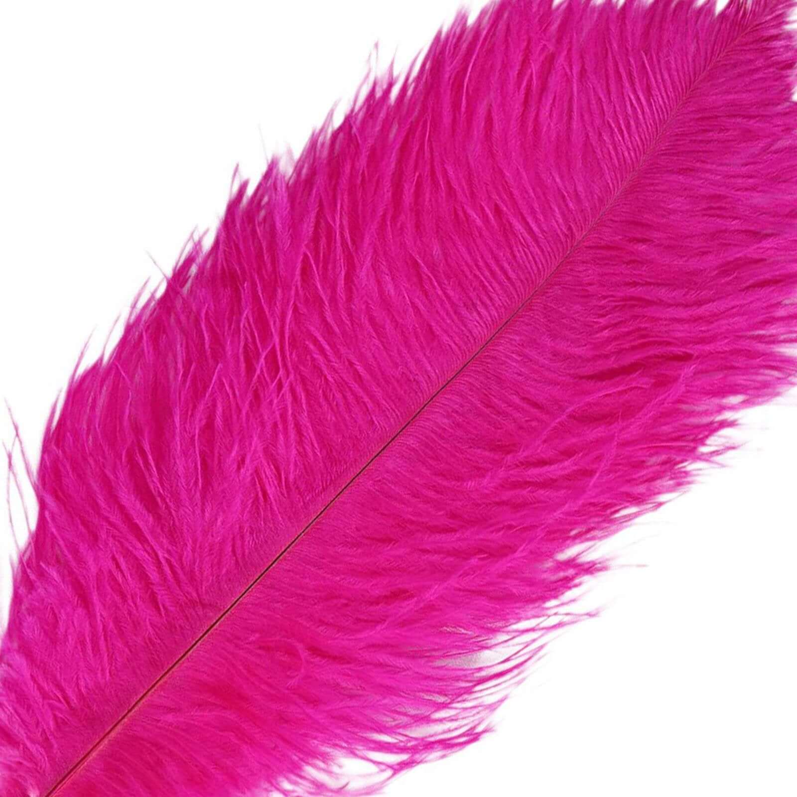 12 Pack 13"-15" Fuchsia Natural Plume Real Ostrich Feathers, DIY Centerpiece Fillers