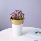 2-Pack Flower Plant Pots Medium Design White with Gold Rim - Plastic Indoor Decorative Planters 6"