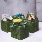 4-Pack Square Planter Boxes Covered with Inner Lining Green Preserved Moss - Flower Basket Centerpieces 6"