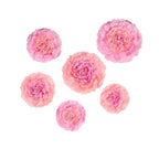 Set of 6 Blush Pink Giant Carnation 3D Paper Flowers Wall Decor - 12",16",20"
