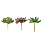 3 Pack 6" Artificial PVC Wavy Kalanchoe Decorative Succulent Plants