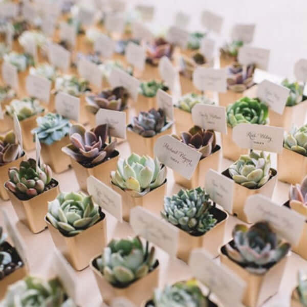 3-Pack Sedum Artificial Succulents in Ceramic Pot - Lifelike Decorative Faux Plants for Home Office & Event Design 8"