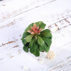 3-Pack Minibelle, Elegans & Grassneri Artificial Succulents in Ceramic Pot - Lifelike Decorative Faux Plants for Home Office & Event Design 5"