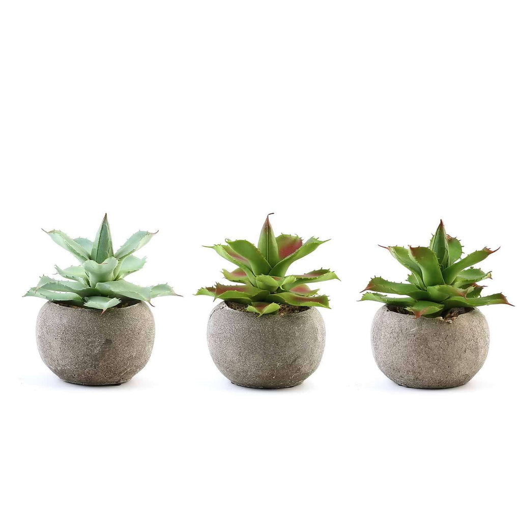 3-Pack Aloe Artificial Succulents in Ceramic Pot - Lifelike Decorative Faux Plants for Home Office & Event Design 5"