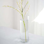 6-Pack Glass Flower Vases Cylinder Design Heavy Duty Clear - Stylish Centerpieces for Weddings 14"