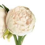 5 Flower Head Beige Peony Bouquet Artificial Silk Peonies Spray