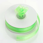 25 Yards 7/8" DIY Apple Green Organza Ribbon Satin Center - Clearance SALE