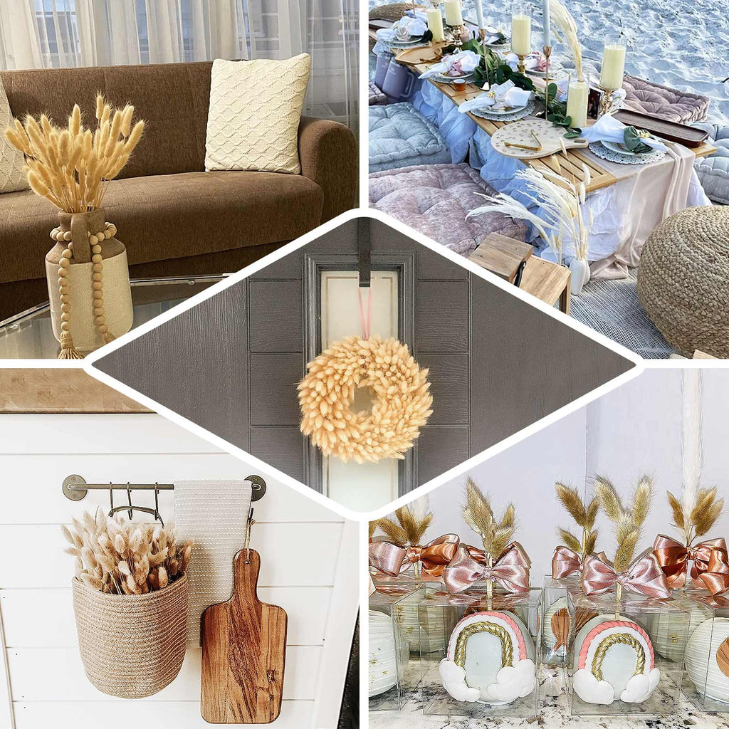 50-Pack Dried Bunny Tail Grass Natural - Rustic Chic Lagurus Ovatus Rabbit Tail Ornamental Grass for Modern Farmhouse Decor Event Styling & Floral Displays 15"