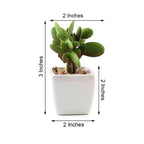 3-Pack Mini Jade Artificial Succulents in Ceramic Pots - Lifelike Decorative Faux Plants for Home Office & Event Design 3"