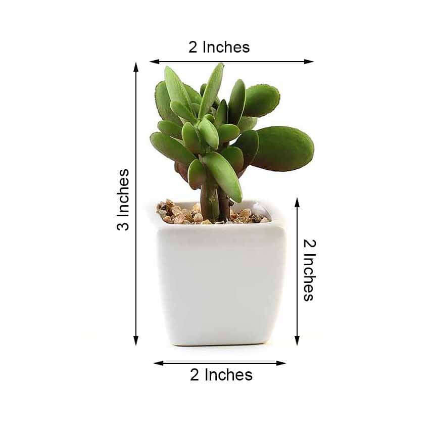 3-Pack Mini Jade Artificial Succulents in Ceramic Pots - Lifelike Decorative Faux Plants for Home Office & Event Design 3"