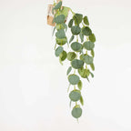 3 Pack 41" Green Real Touch Hanging Silk Silver Dollar Leaf Plant Stems, Artificial Indoor Eucalyptus Sprays