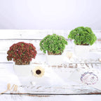 3-Pack Joy Sedum Artificial Succulents in Ceramic Pots - Lifelike Decorative Faux Plants for Home Office & Event Design 6"