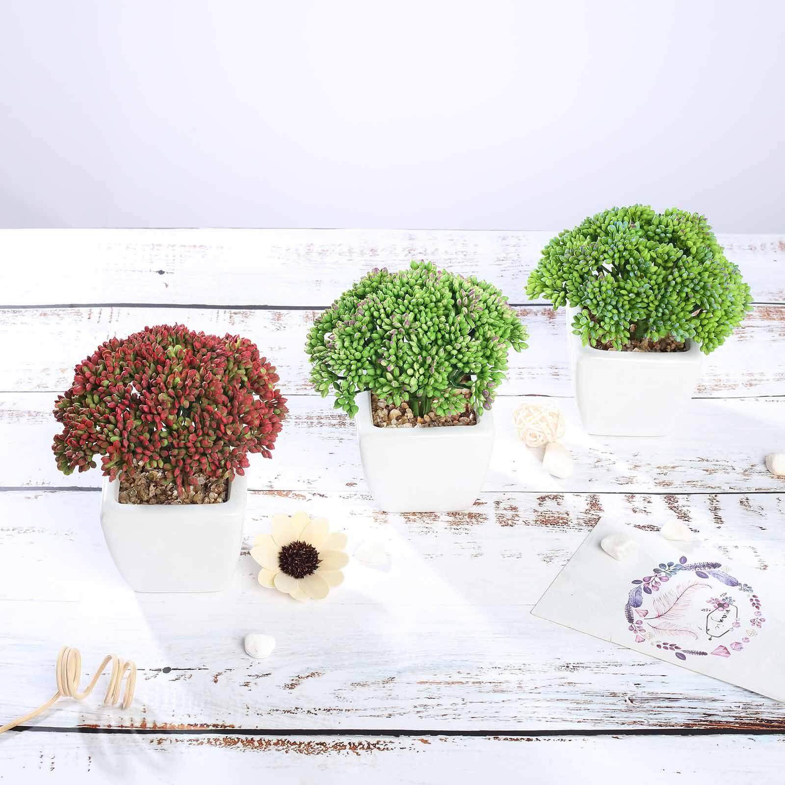 3-Pack Joy Sedum Artificial Succulents in Ceramic Pots - Lifelike Decorative Faux Plants for Home Office & Event Design 6"