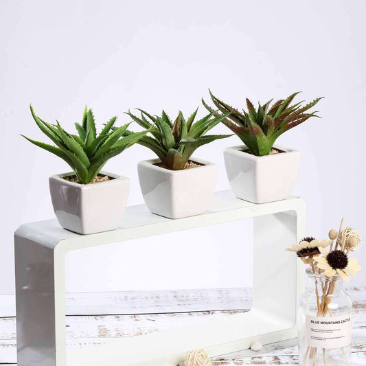 3-Pack Spotted Aloe Vera Artificial Succulents in Ceramic Pot - Lifelike Decorative Faux Plants for Home Office & Event Design 5"