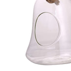 Glass Terrarium Hanging Bell Shaped Design with Twine Rope - Unique Free-Falling Planter for Air Plants & Displays 9"