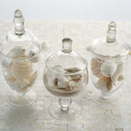 Set of 3 Glass Jars Apothecary Design Clear and Snap-On Lids - Stylish Decorative Candy Buffet Storage 8.5", 9", 10"