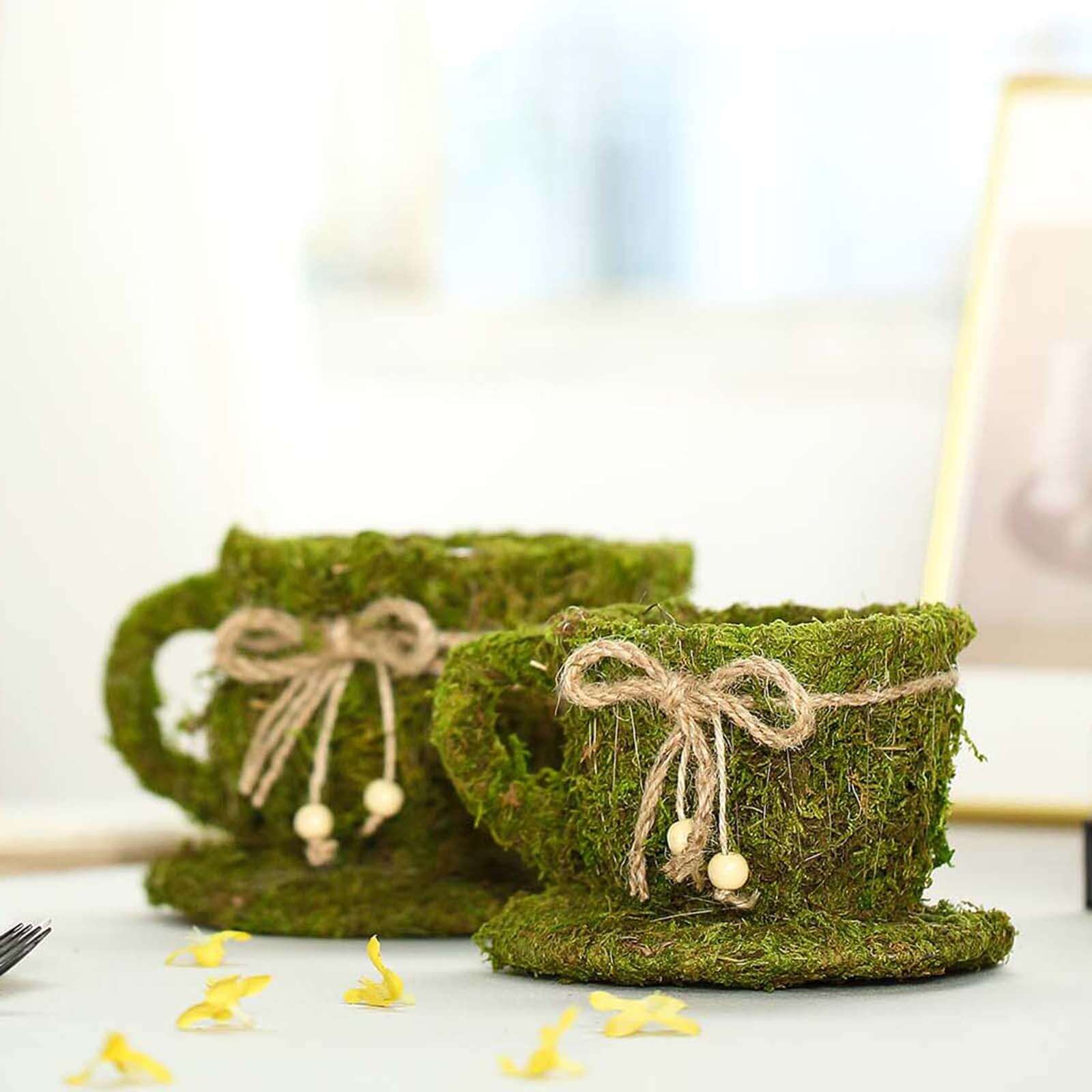 Set of 2 Teacup Shaped Planter Boxes Preserved Moss with Twine Green - Flower Basket Centerpieces 5", 4"