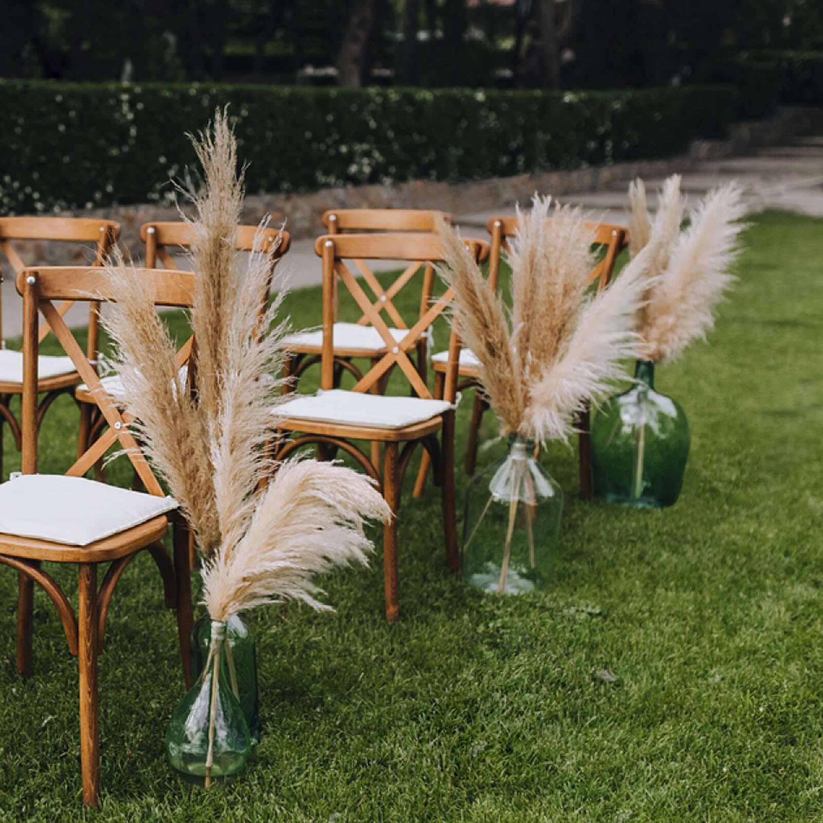 6 Stems Natural Dried Pampas Grass Decor Natural Tint - Versatile Plant Sprays for Boho Chic Vase Displays Backdrops & Event Styling 32"