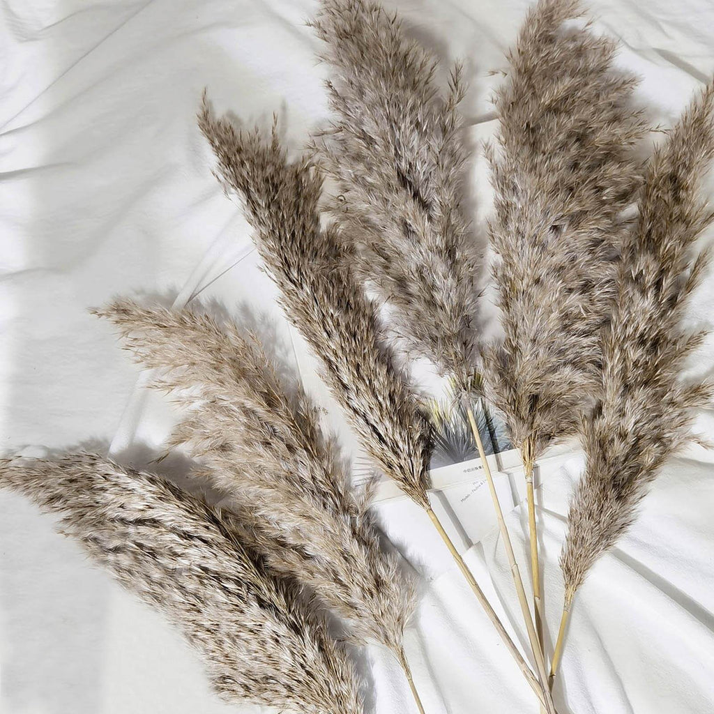 6 Stems Natural Dried Pampas Grass Decor Natural Tint - Versatile Plant Sprays for Boho Chic Vase Displays Backdrops & Event Styling 32"