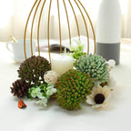 3 Pack 4" Artificial PVC Mini Jelly Bean Decorative Succulent Plants