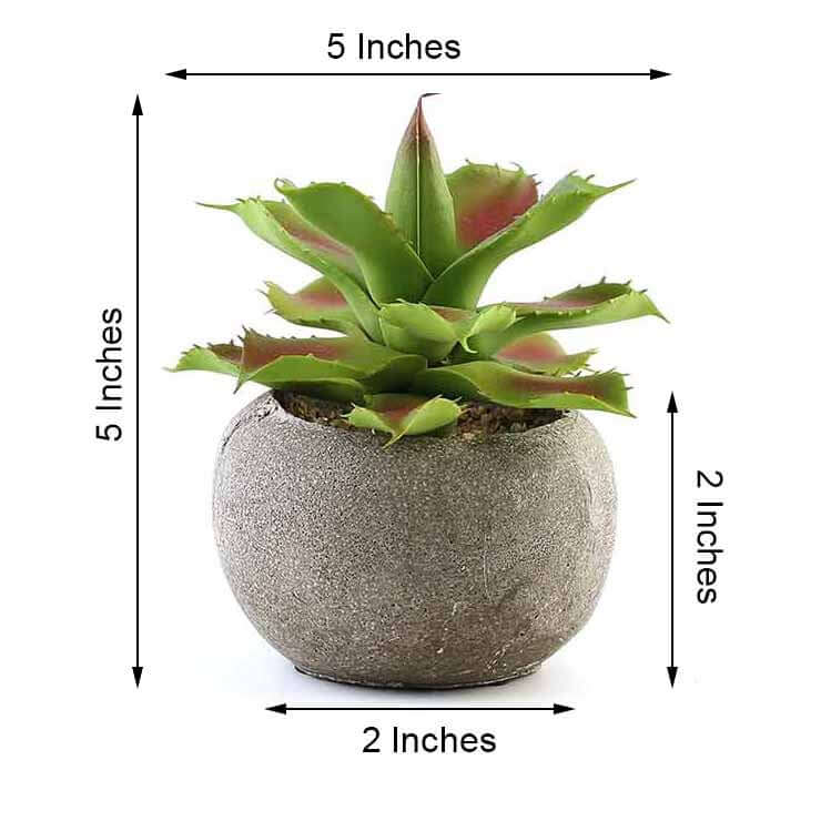 3-Pack Aloe Artificial Succulents in Ceramic Pot - Lifelike Decorative Faux Plants for Home Office & Event Design 5"