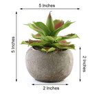3-Pack Aloe Artificial Succulents in Ceramic Pot - Lifelike Decorative Faux Plants for Home Office & Event Design 5"