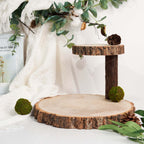2-Tier Wooden Cheese Board Stand Elm Wood Slice Design Natural - Rustic Cupcake Centerpiece 8"