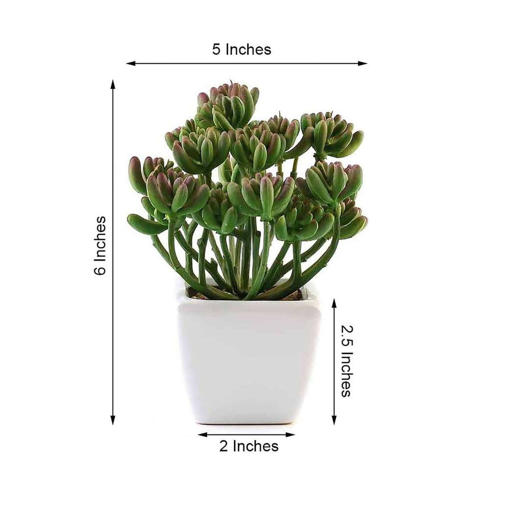 3-Pack Stonecrop Artificial Succulents in Ceramic Pots - Lifelike Decorative Faux Plants for Home Office & Event Design 7"