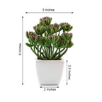 3-Pack Stonecrop Artificial Succulents in Ceramic Pots - Lifelike Decorative Faux Plants for Home Office & Event Design 7"