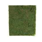 18"x16" Preserved Natural Moss Wall Sheet Roll, Moss Landscape Panel