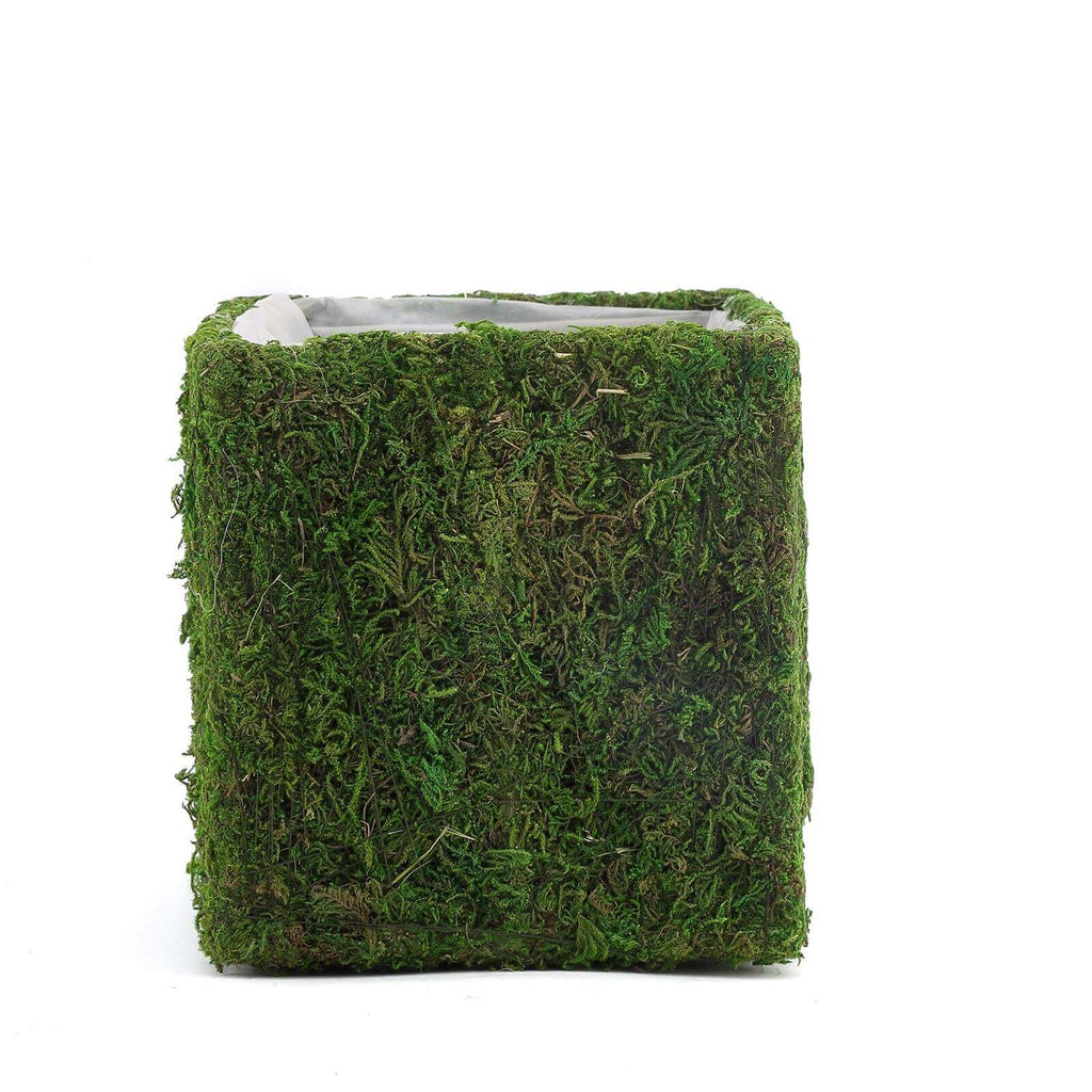 4-Pack Square Planter Boxes Covered with Inner Lining Green Preserved Moss - Flower Basket Centerpieces 6"