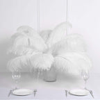 12 Pack White Natural Plume Ostrich Feathers Centerpiece Filler - 24"-26"