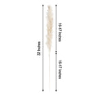 6 Stems Natural Dried Pampas Grass Decor Off White Tint - Versatile Plant Sprays for Boho Chic Vase Displays Backdrops & Event Styling 32"