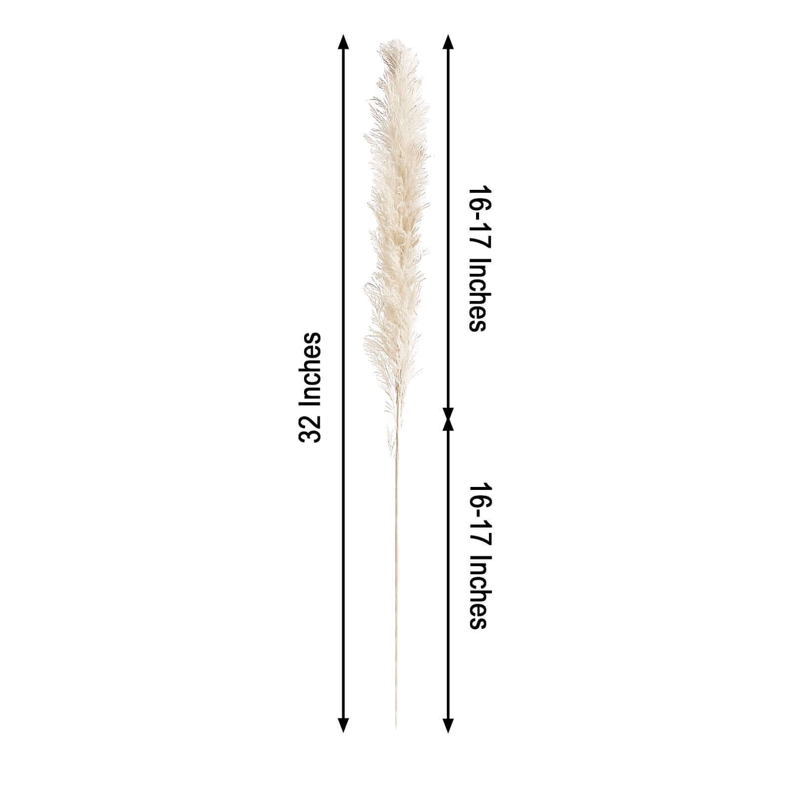 6 Stems Natural Dried Pampas Grass Decor Off White Tint - Versatile Plant Sprays for Boho Chic Vase Displays Backdrops & Event Styling 32"