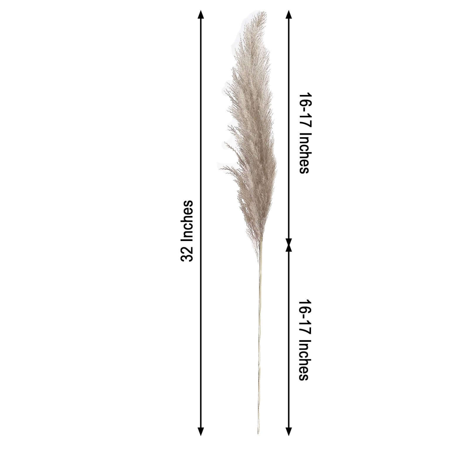 6 Stems Natural Dried Pampas Grass Decor Natural Tint - Versatile Plant Sprays for Boho Chic Vase Displays Backdrops & Event Styling 32"