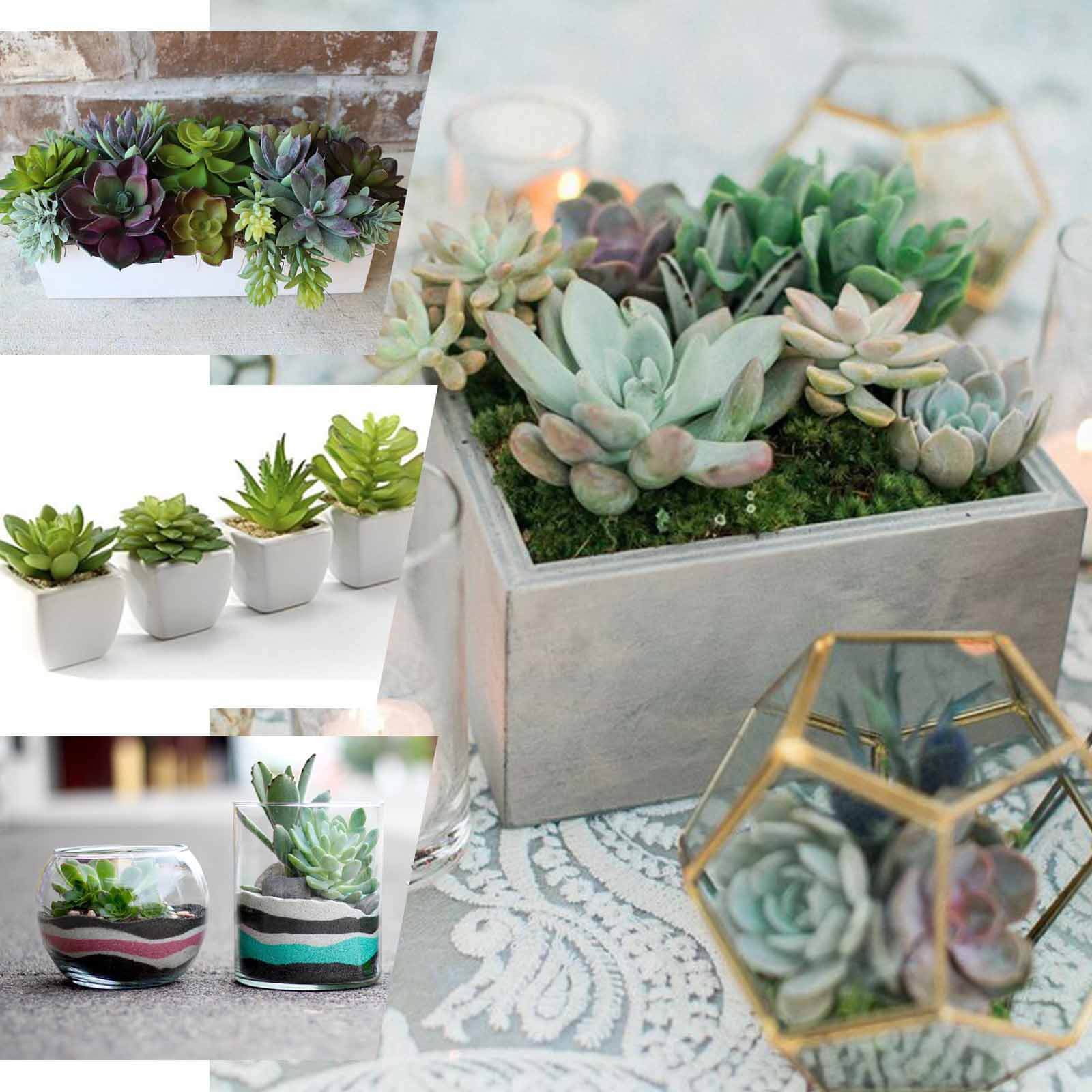 3 Pack 13" Assorted Artificial Yucca Aloe Vera Succulent Air Plants