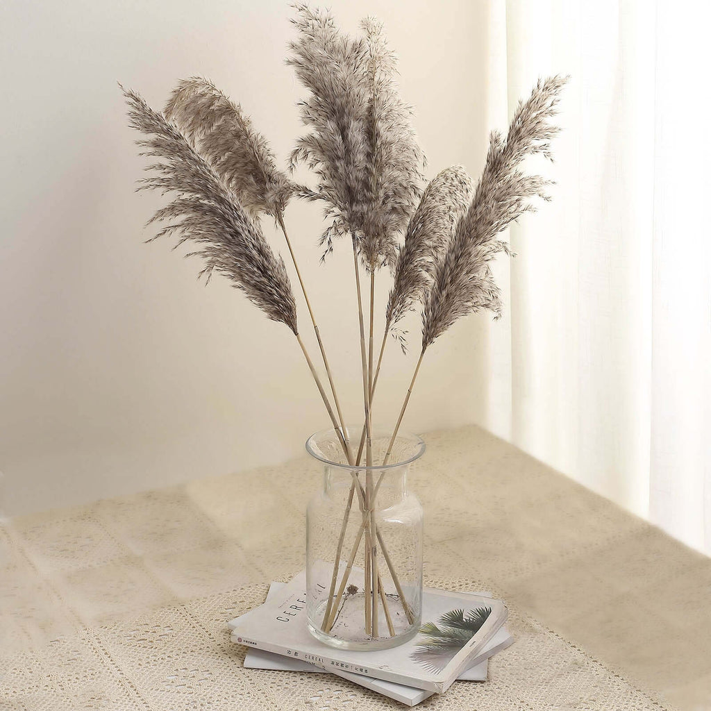 6 Stems Natural Dried Pampas Grass Decor Natural Tint - Versatile Plant Sprays for Boho Chic Vase Displays Backdrops & Event Styling 32"