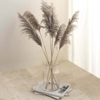 6 Stems Natural Dried Pampas Grass Decor Natural Tint - Versatile Plant Sprays for Boho Chic Vase Displays Backdrops & Event Styling 32"