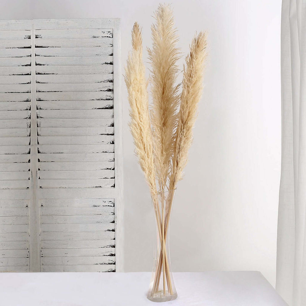 6 Stems Natural Dried Pampas Grass Decor Wheat Tint - Tall Plant Sprays for Boho Chic Vase Displays Backdrops & Event Styling 49"