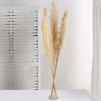 6 Stems Natural Dried Pampas Grass Decor Wheat Tint - Tall Plant Sprays for Boho Chic Vase Displays Backdrops & Event Styling 49"