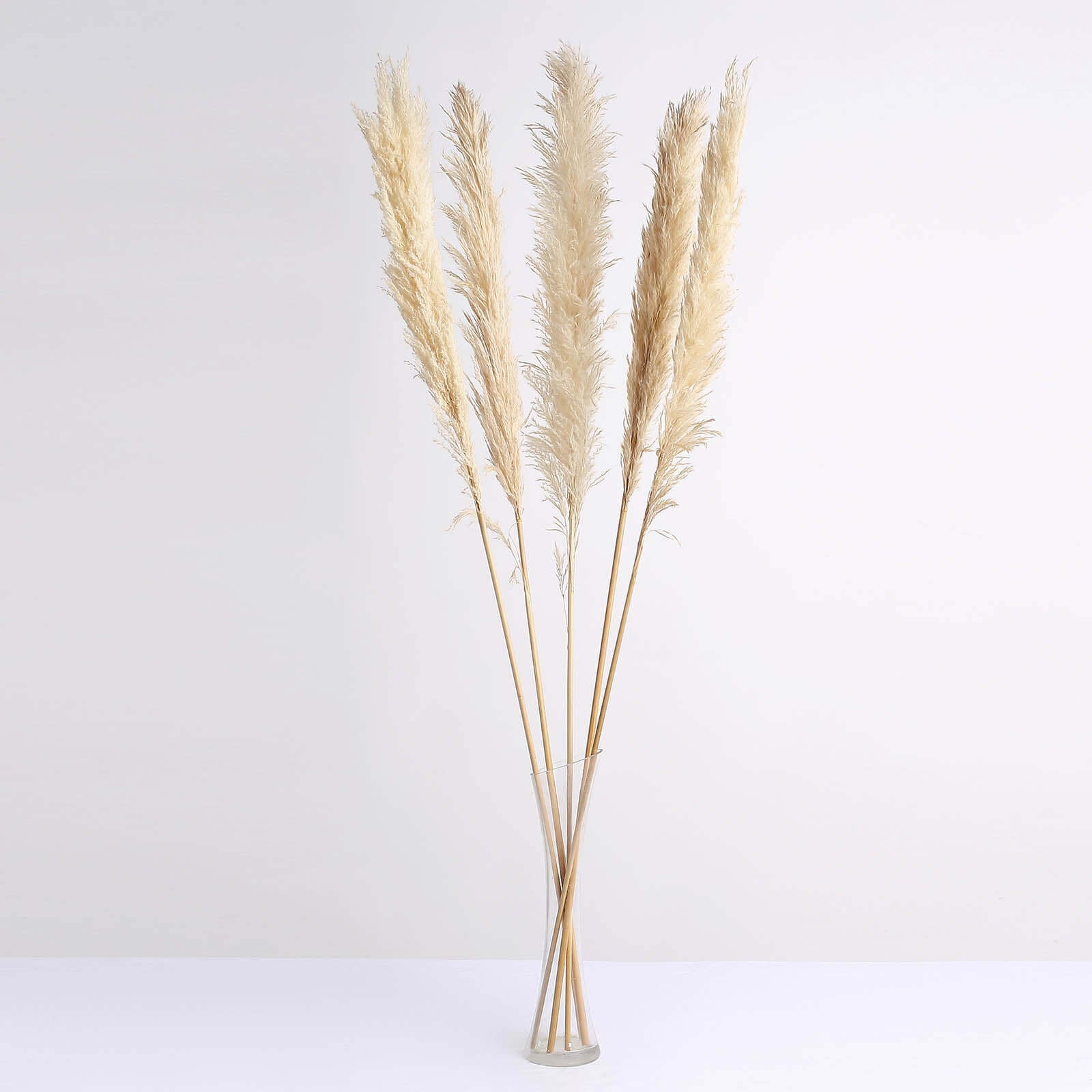 6 Stems Natural Dried Pampas Grass Decor Wheat Tint - Tall Plant Sprays for Boho Chic Vase Displays Backdrops & Event Styling 49"