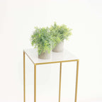 2-Pack Acrylic Plexiglass Sheets Top Plates White Square - Protective Film Coating 11" 3mm Thick