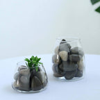 Polished Decorative Stones Natural Assorted Design - Ideal Vase Fillers, Landscaping, and Aquarium Use 2Lb