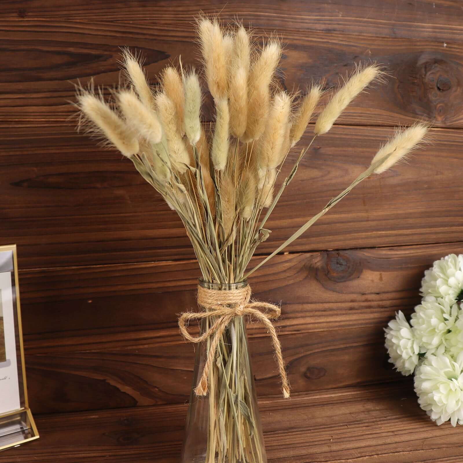 50-Pack Dried Bunny Tail Grass Natural - Rustic Chic Lagurus Ovatus Rabbit Tail Ornamental Grass for Modern Farmhouse Decor Event Styling & Floral Displays 15"